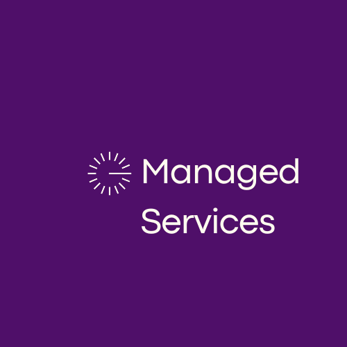 Managed Services Icon